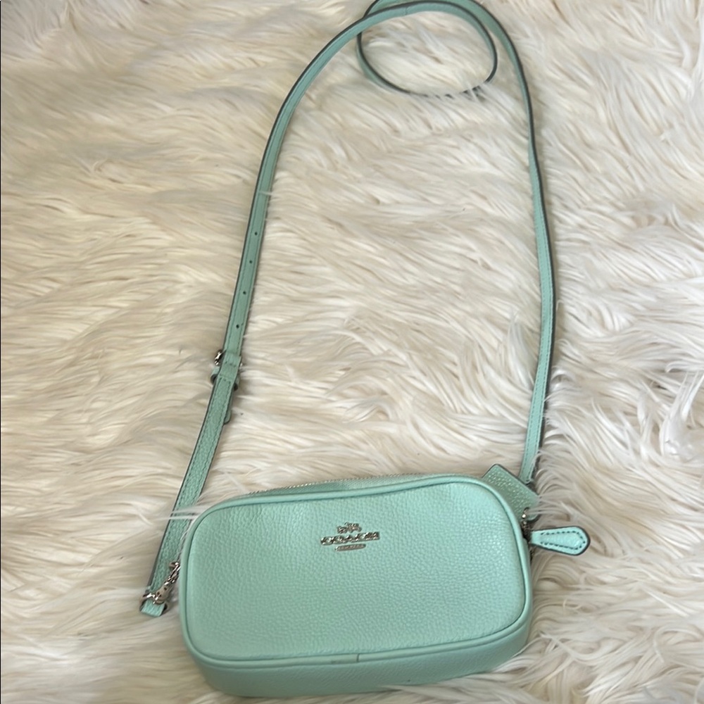 Coach Light Green Crossbody Bag - Picture 1 of 9